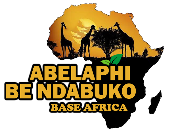 04-25 at 11.49.40_1fb36b12